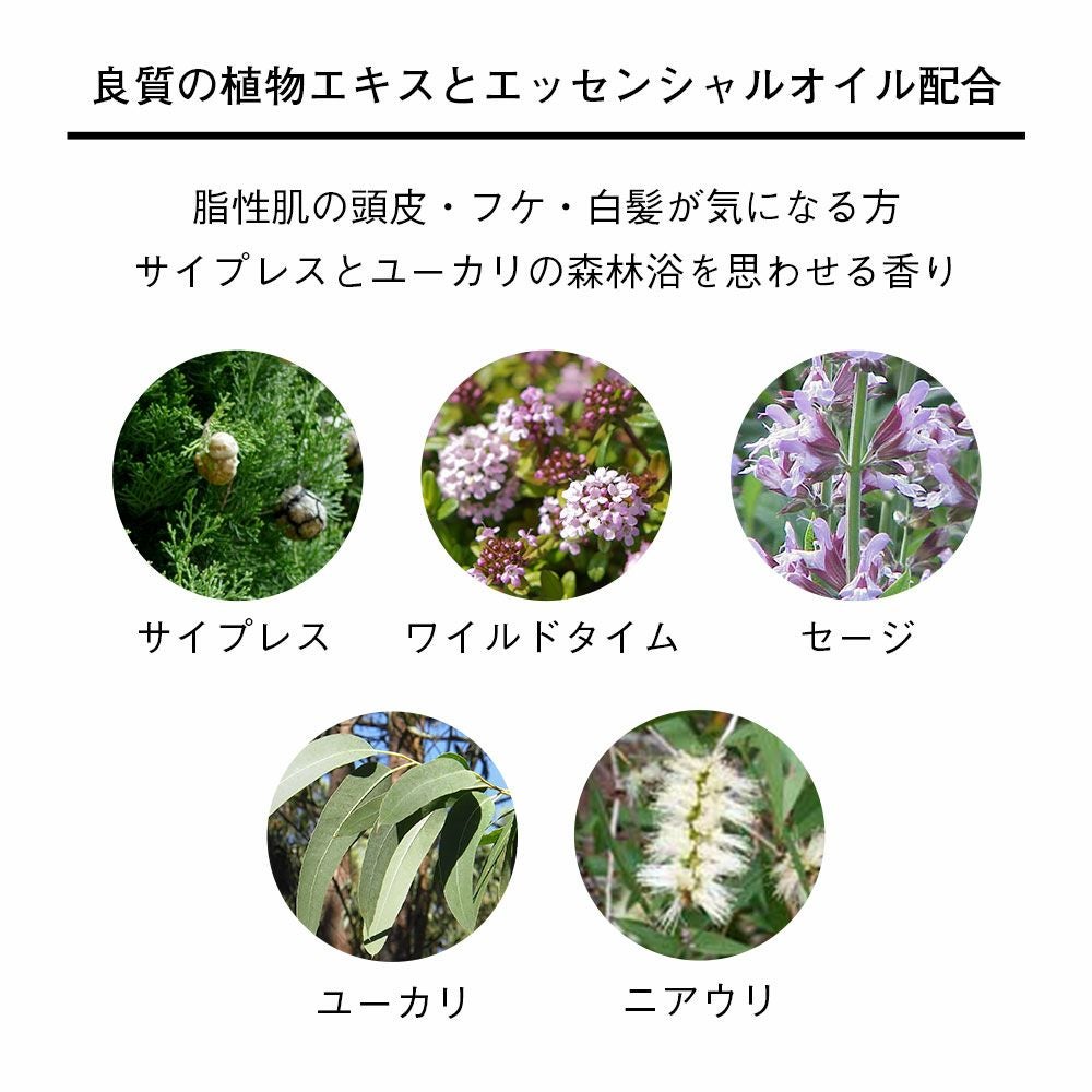 エッセンスキャピロールAP | 【公式】ジョジアンヌ ロール｜Josiane Laure