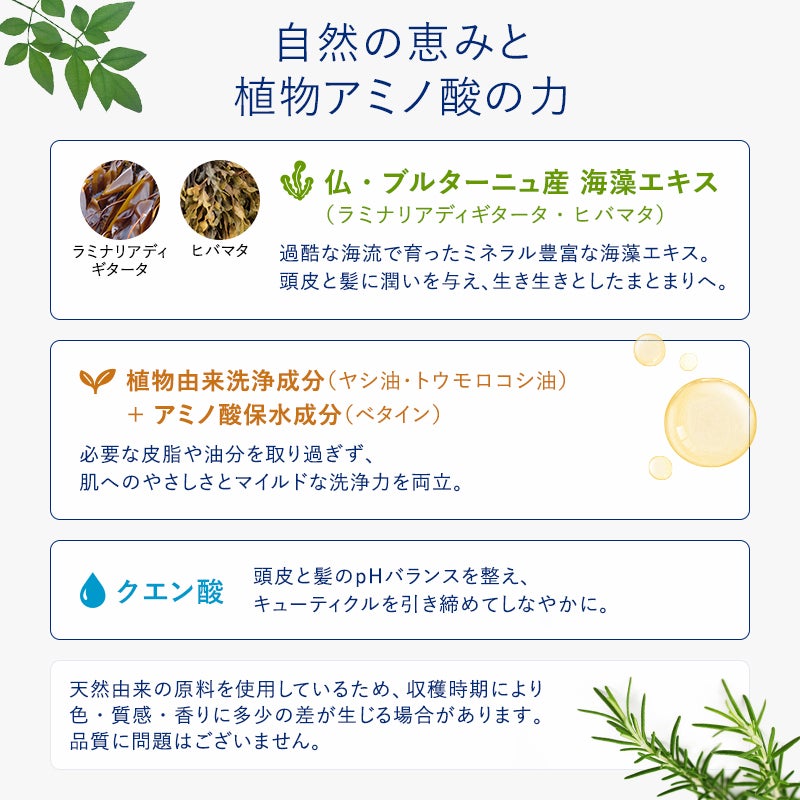 シャンポワン オーザルグ センシティブのイメージ画像4